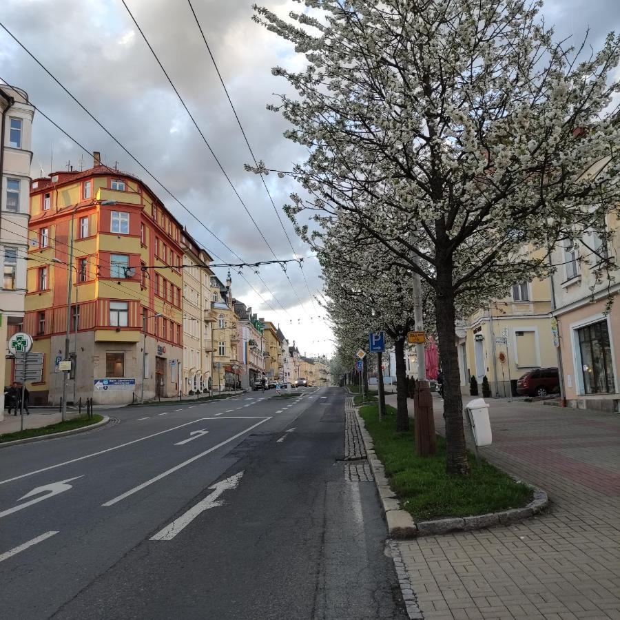 マリアーンスケー・ラーズニェApartman Friedrichsruhアパートメント エクステリア 写真