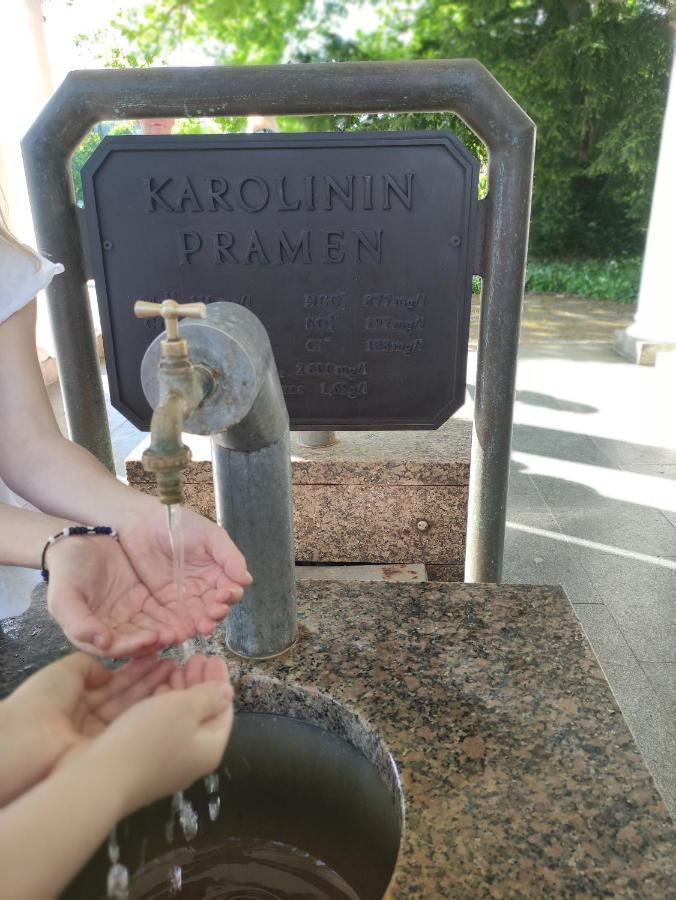 マリアーンスケー・ラーズニェApartman Friedrichsruhアパートメント エクステリア 写真